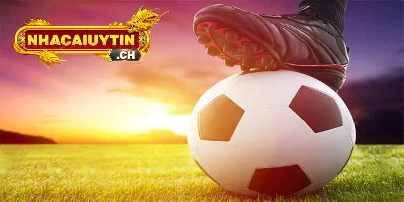 Tìm Hiểu Chi Tiết Cách Đọc Kèo 0.5 (Nửa Trái)