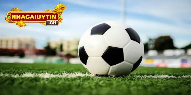 Nhà cái uy tín là trang cá cược được nhiều người lựa chọn